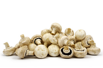 Heap of common mushrooms (Agaricus bisporus) on white background. Clipping path incl.