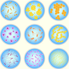 stylized image of different types of bacteria