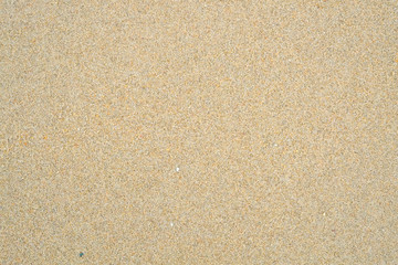 Sandy beach texture / Sandy beach texture, use as background.