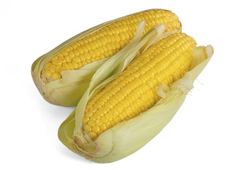 Sweet corn cob / Sweet corn cob on white background.