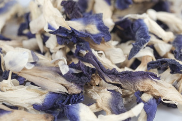 Asian pigeonwings flower / Close up Asian pigeonwings flower dry out.