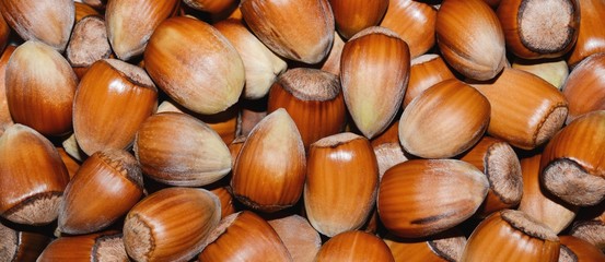 hazelnuts in the background