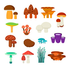 Mushrooms vector illustration set