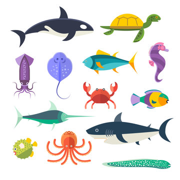 Vector set of sea marine fish and animals