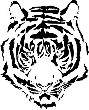 tiger head in black interpretation 11