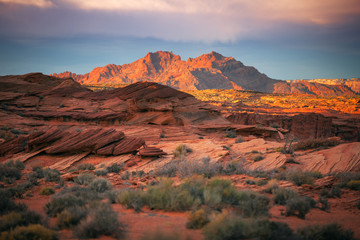 famous  view of Grand Canyon , Arizona
