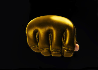 Gold Glove for the martial arts, mma. space for text. logo