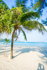 Fototapeta na wymiar landscape Patong Beach in Phuket, Thailand