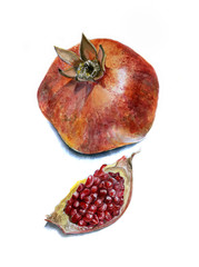Realistic watercolor sketch of the pomegranate and separate the slice