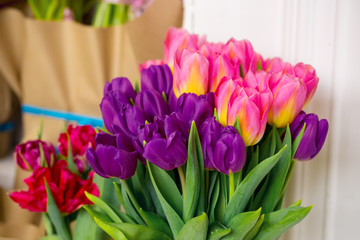 Beautiful pink and purple tulips. A bouquet of flowers for March 8, or Valentine's day