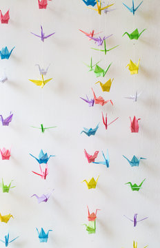 Colorful many origami paper cranes