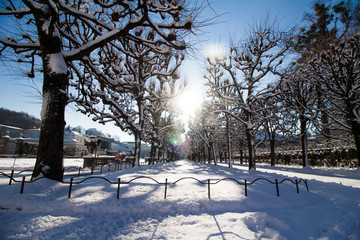 Mirabellgarten im Winter