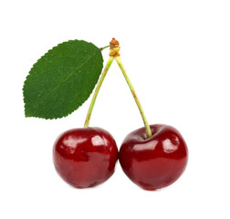 two cherries with leaf isolated