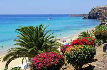 Fototapete Morro Jable beach promenade with blooming bougainvillea, Fuerteventura, Canarian Islands, Spain © Jette Rasmussen