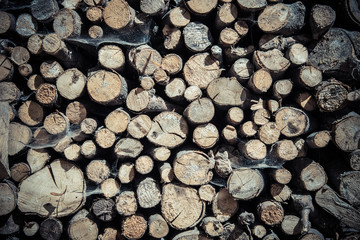 Stack of wood logs