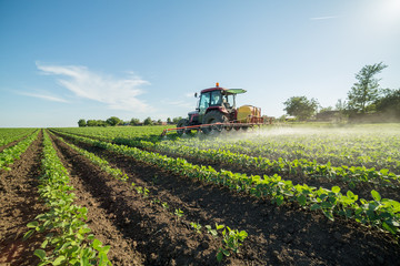 Naklejka premium Farmer spraying soybean field with pesticides and herbicides