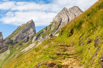 Stunning view of Alpstein massif