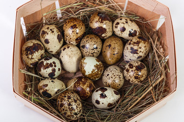 Obraz premium quail eggs in a basket isolated on a white background