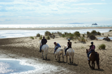 quatre cavaliers et chevaux le long de la plage de l'Espiguette, Languedoc France