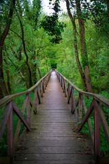 Bridge into the forest, Parco dell' Adda