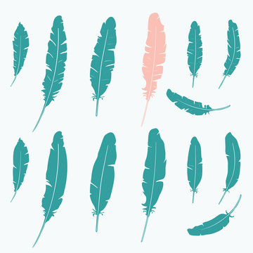 Set of graphic feathers.
