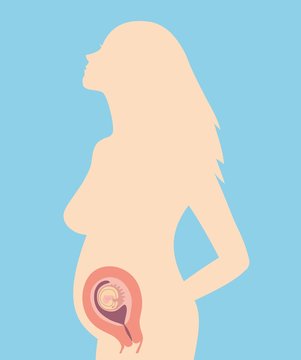 Illustration of a silhouette of a pregnant woman with an embryo