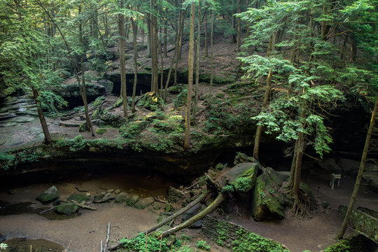 Saving The Hemlocks. Ohio's Hocking Hills State Park is leading the way in treating a disease that is decimating America's Hemlock trees in other areas of the country.
