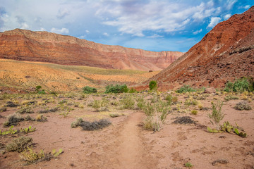 UT-AZParia Can-Vermillion Cliffs Wilderness.  This 30 mile plus, spectacular multi-day backpack, shows one the beauty of this slot canyon.
