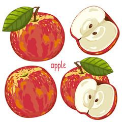 Apple isolated, Vector.