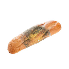 Mold On Bread