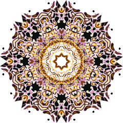 Mandala ethnic indian illustration design