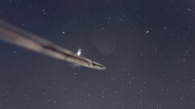 Needle in fluid