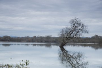 Tabueira Park,Portugal.