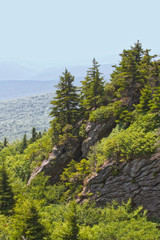 Pine trees, rocky mountain