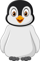 Cute baby penguin posing isolated on white background