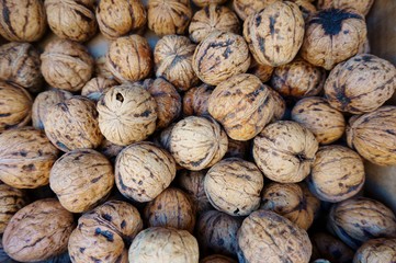 Crate of fresh walnuts in the shell