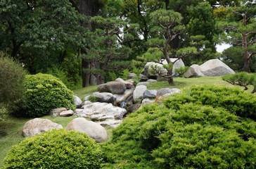 A restful Japanese tea garden
