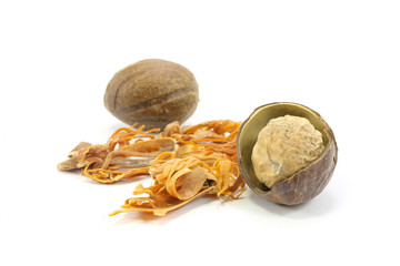 Nutmeg  Seed  Mace Blade Spice