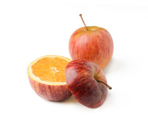 Apple orange inside GMO concept genetically modified fruit