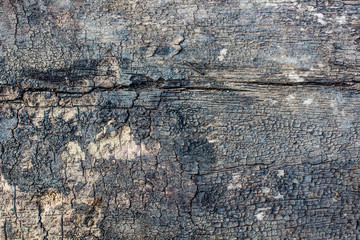 Old Wood texture background