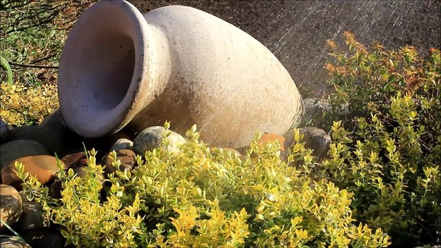 gardening, watering plants and amphora 
