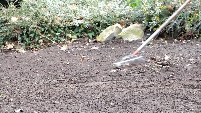 raking the ground in a garden
