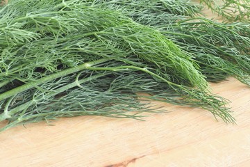 Dill