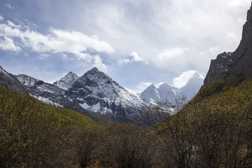 Fototapeta premium Snowy Mountains