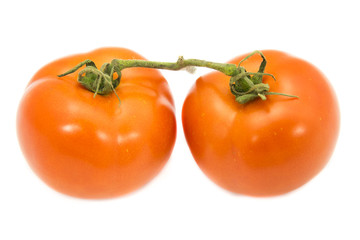 two tomato with green stem on white background