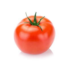 Red Tomatoes on white background
