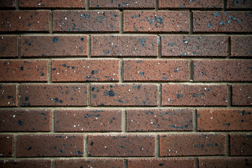 Fototapeta premium brown brick wall background