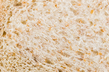 Whole wheat bread surface