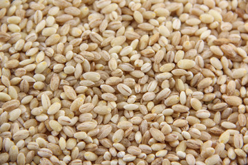 Dried pearled barley closeup flat food background