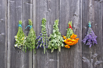 Different bouquets of herbs hanged to dry